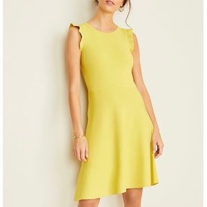 NWT Ann Taylor Knit dress, XS